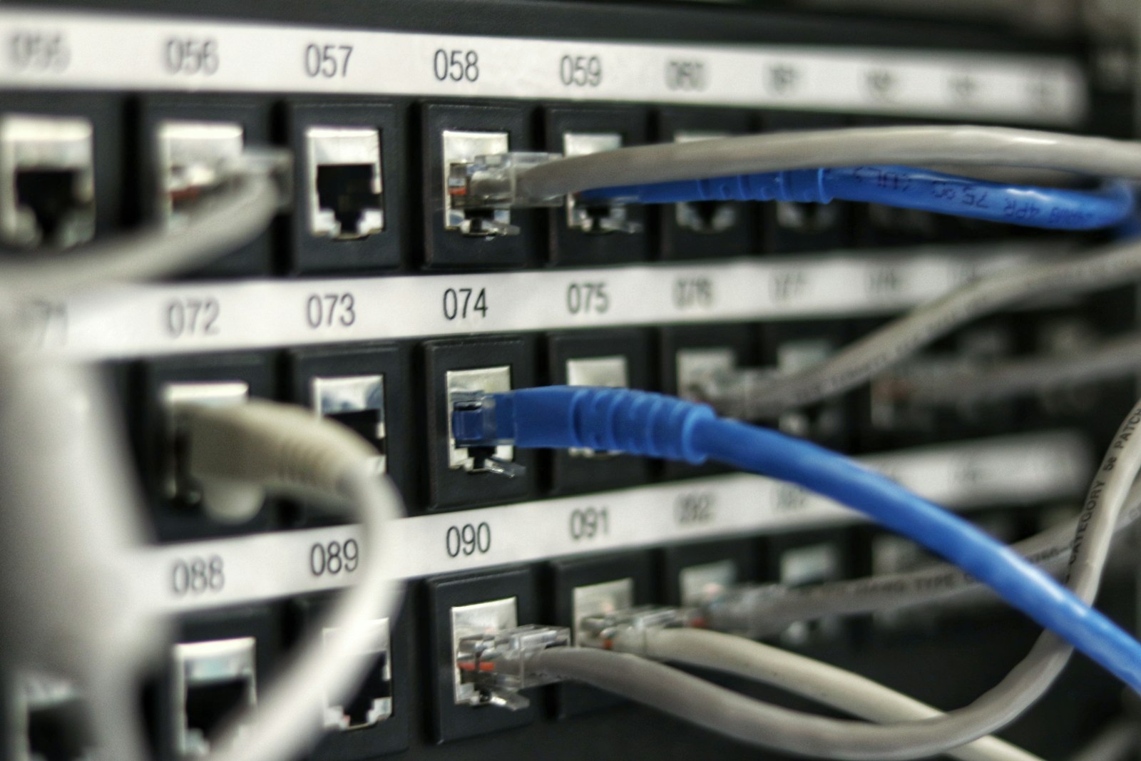 Network patch panel with blue cables installed by MDI
